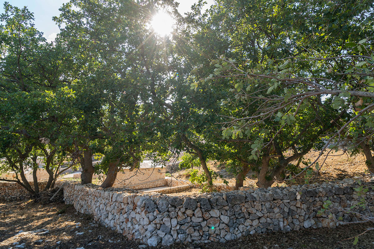 Giardino delle querce